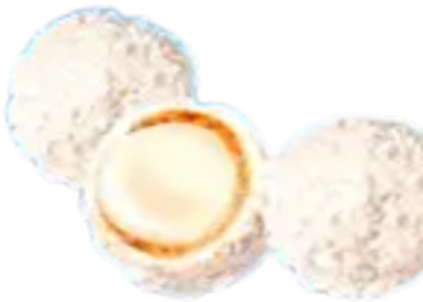 Waffelkugeln mit  Cremefüllung & Kokos