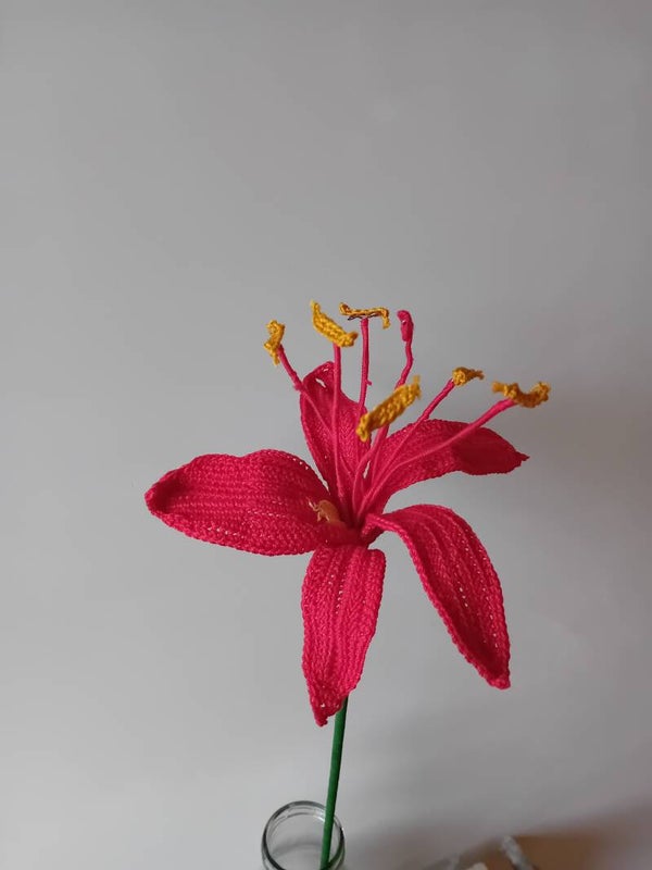 Amaryllis bloem