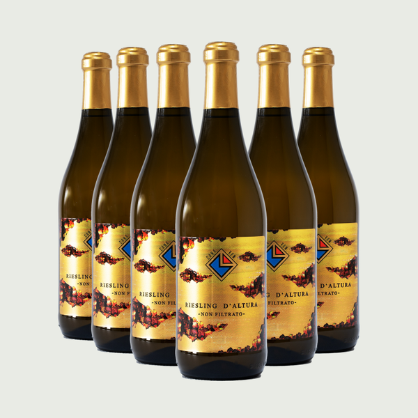 Riesling D'altura 6 pz.
