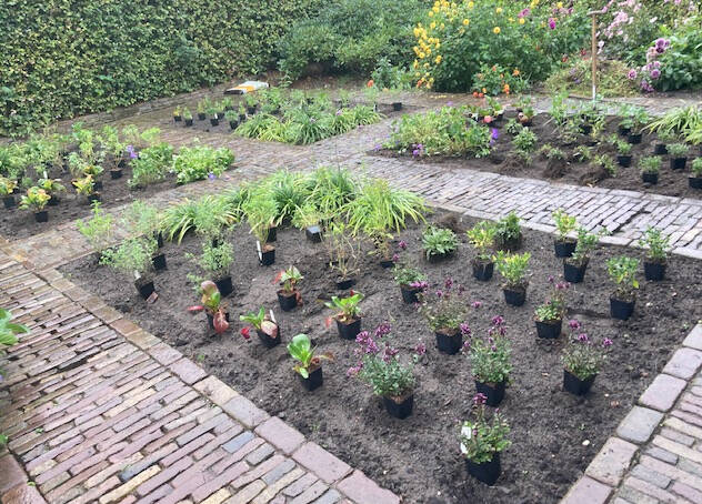 beplantingsplan