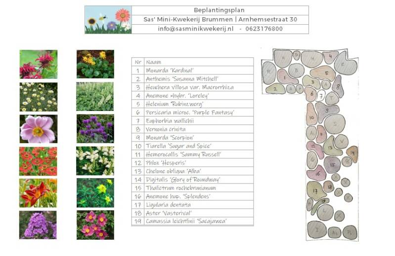 beplantingsplan