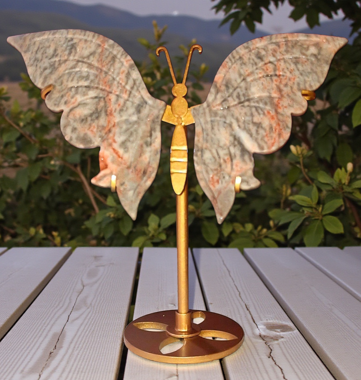 Crazy lace agaat Vlinder