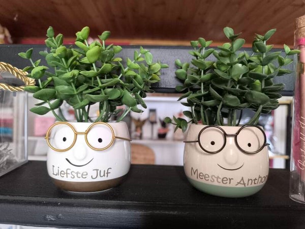 Bril bloempotje