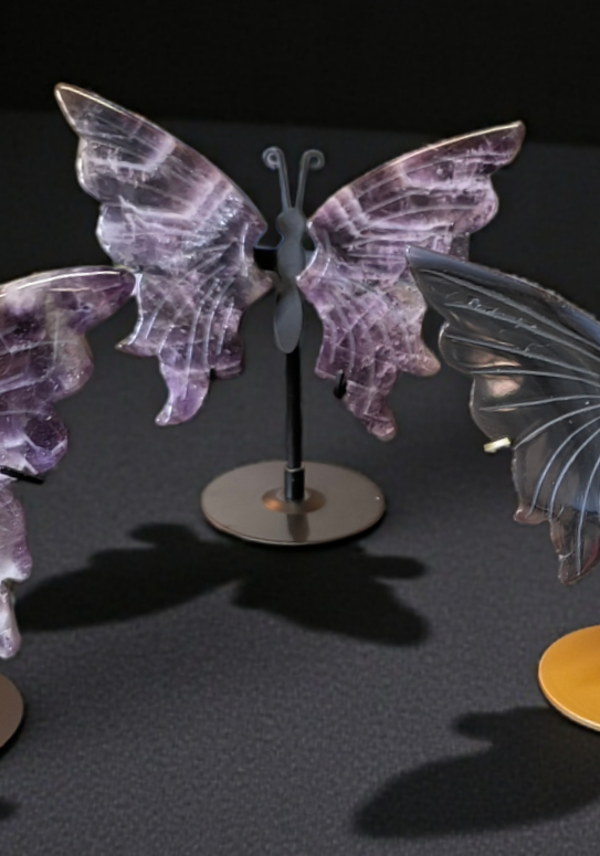Amethist vlinder 1