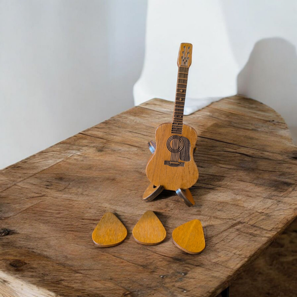 Gitaar doosje met plectrum