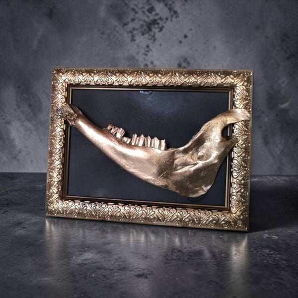 Tooth bone frame