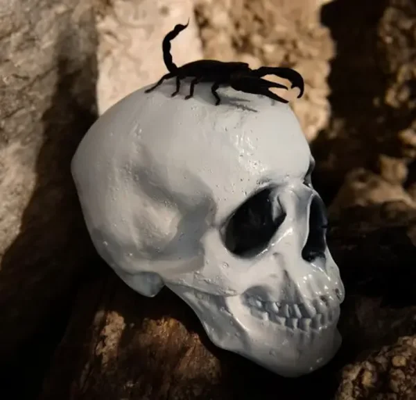 Scorpio skull