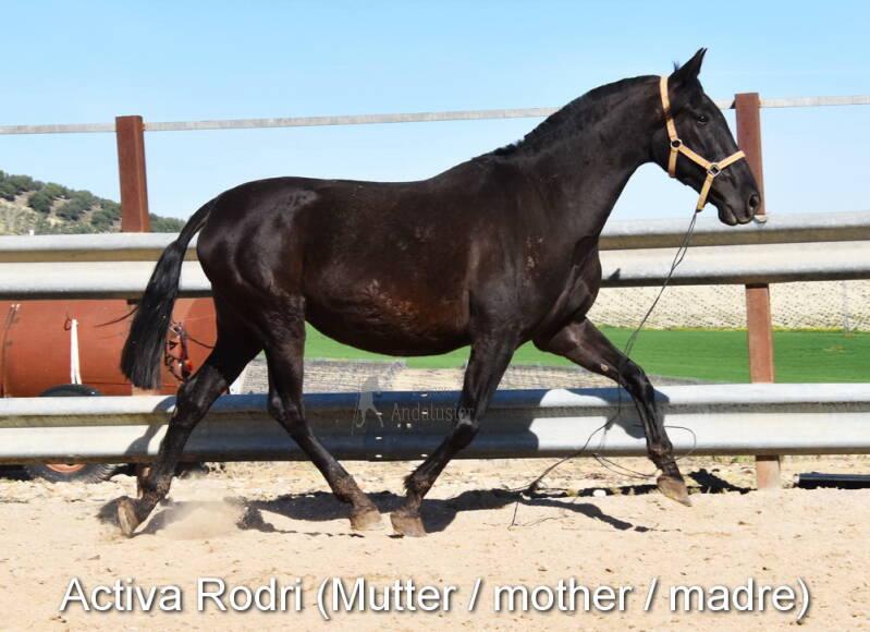 activa-rodri-mutter-2_klein-standard.jpg