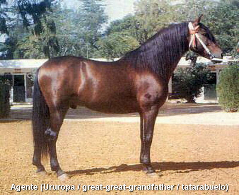agente-ururopa-_cambiar-tama-o-standard.jpg