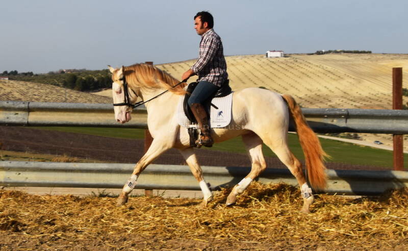 albino-2021-januar-25_bildgr-e-ndern-standard.jpg