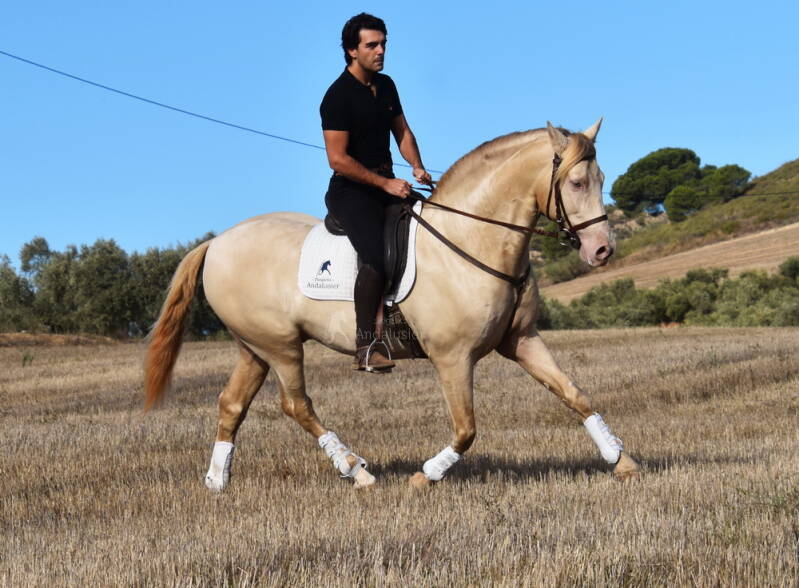 baileys-2025-november-16_cambiar-tama-o-standard.jpg