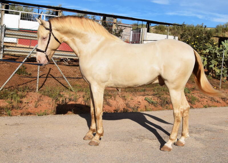 baileys-2025-november-1_cambiar-tama-o-standard.jpg
