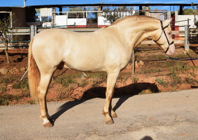 baileys-2025-november-5_cambiar-tama-o-standard.jpg