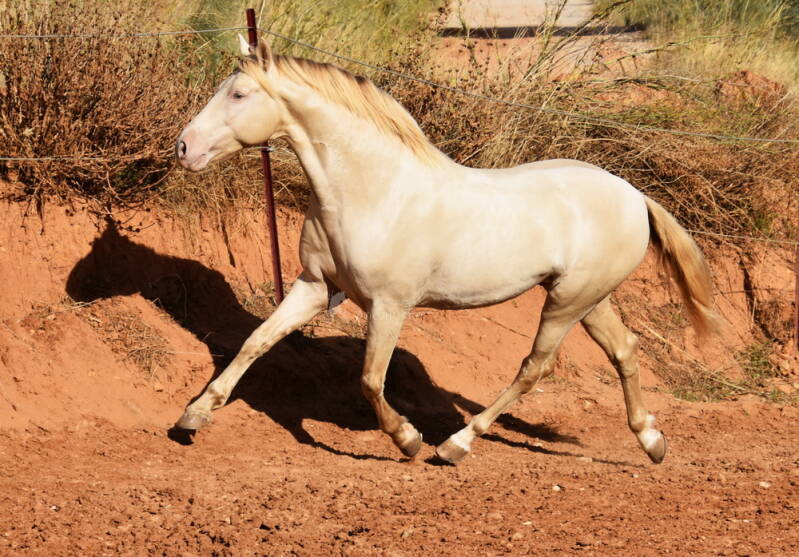 baileys-2025-november-7_cambiar-tama-o-standard.jpg