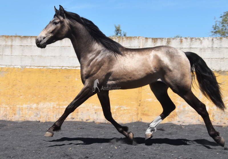 bronce-2026-april-11_cambiar-tama-o-standard.jpg