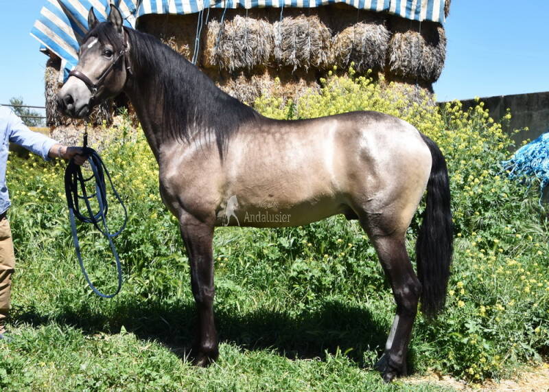 bronce-2026-april-14_cambiar-tama-o-standard.jpg