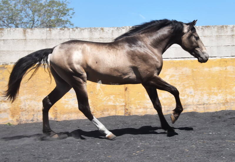 bronce-2026-april-1_cambiar-tama-o-standard.jpg