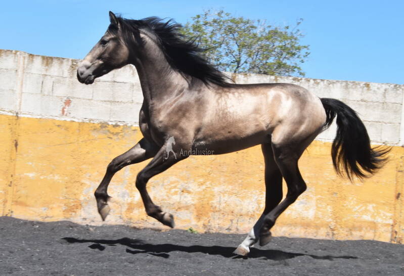 bronce-2026-april-3_cambiar-tama-o-standard.jpg