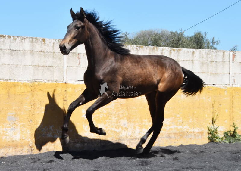 cobriza-2026-april-1_cambiar-tama-o-standard.jpg