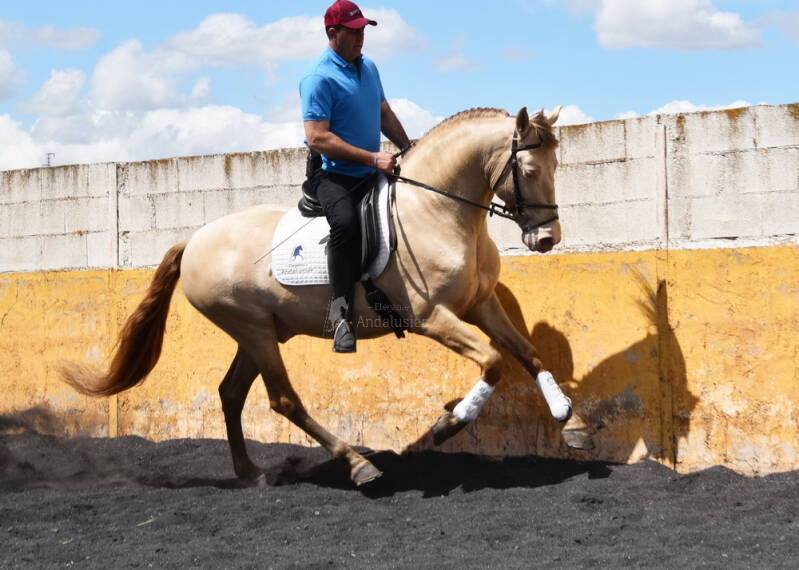 elegante-2025-april-24_cambiar-tama-o-standard.jpg