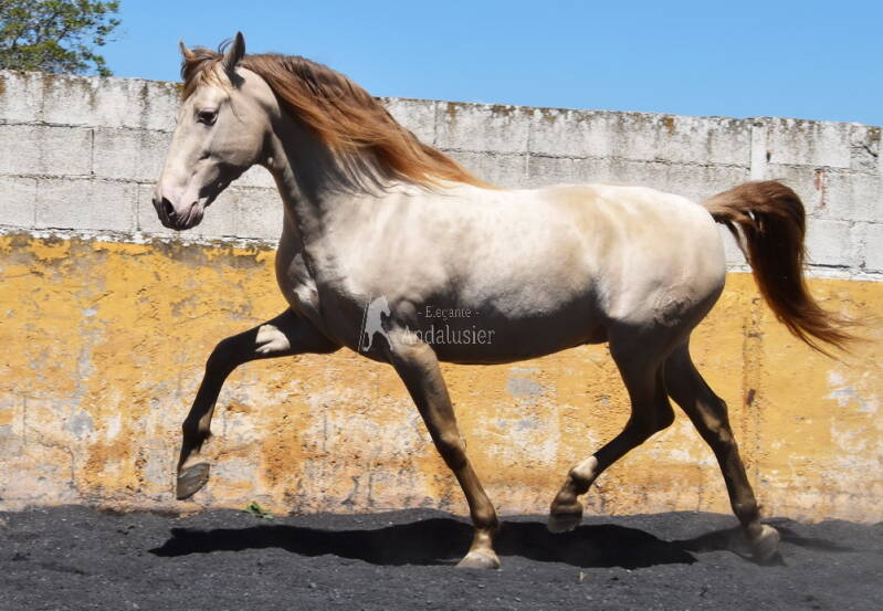 elegante-2026-april-10_cambiar-tama-o-standard.jpg
