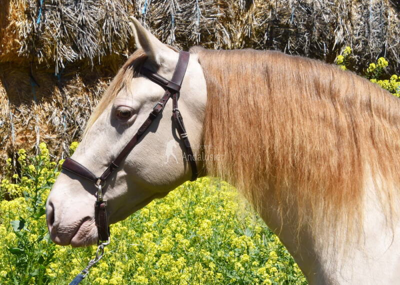 elegante-2026-april-2_cambiar-tama-o-standard-o1lu35.jpg