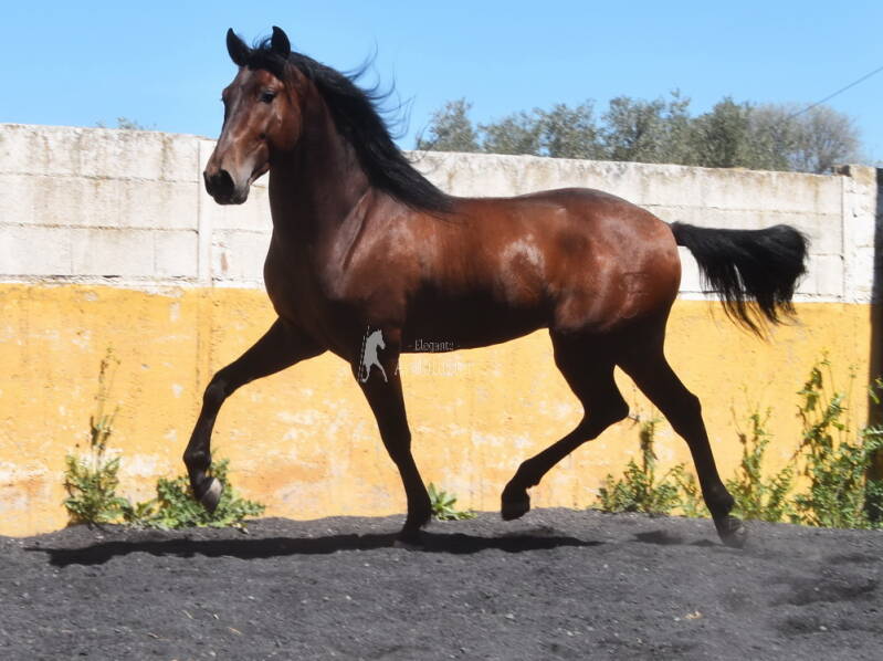 enigma-2026-april-5_cambiar-tama-o-standard.jpg