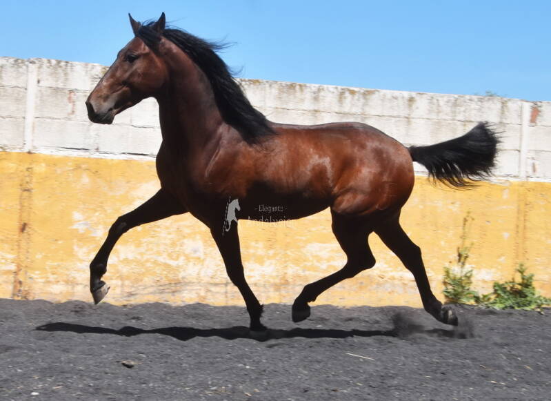 enigma-2026-april-6_cambiar-tama-o-standard.jpg