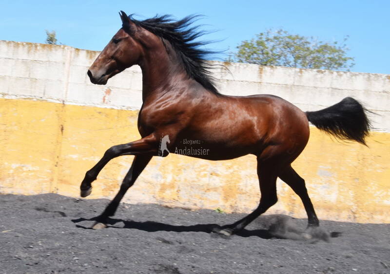 enigma-2026-april-7_cambiar-tama-o-standard.jpg