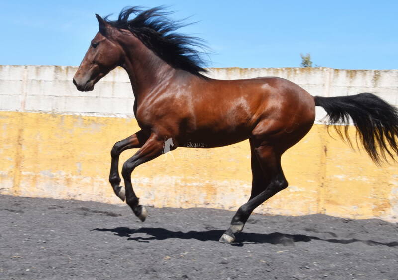 enigma-2026-april-8_cambiar-tama-o-standard.jpg