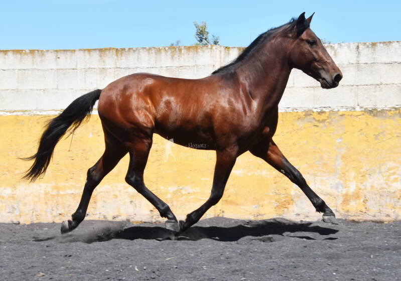 enigma-2026-april-9_cambiar-tama-o-standard.jpg