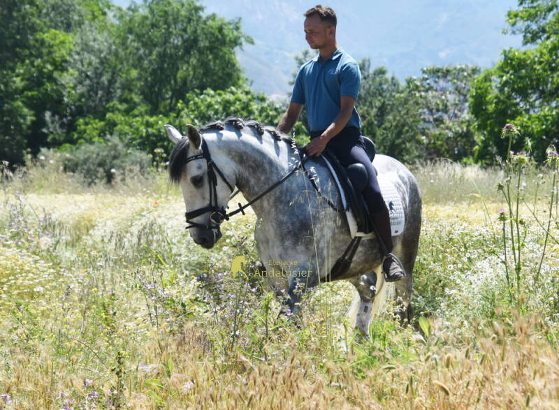 gitano-2026-mai-6_cambiar-tama-o-standard.jpg