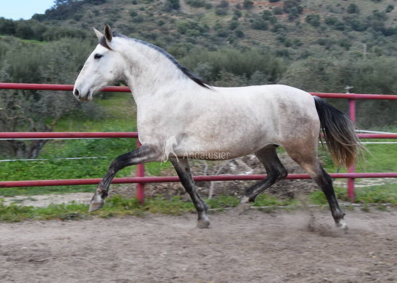 heredera-2026-februar-5_cambiar-tama-o-standard.jpg