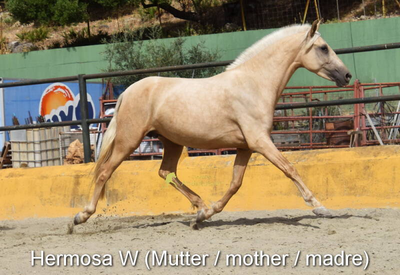 heromsa-w-mutter-1_cambiar-tama-o-standard.jpg