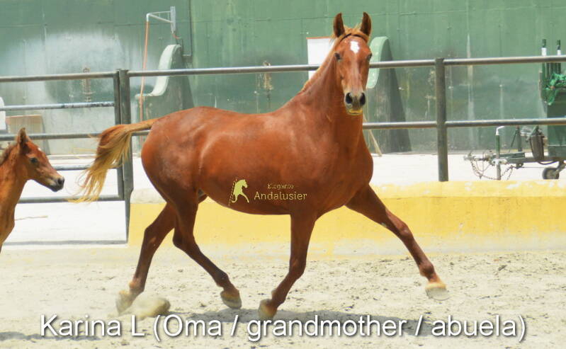 karina-l-oma-2_cambiar-tama-o-standard.jpg