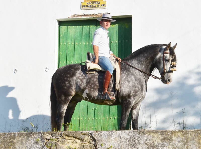 lebrijano-2026-april-1_cambiar-tama-o-standard.jpg