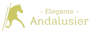 Elegante Andalusier