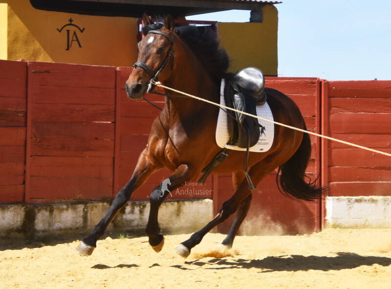 molinero-2026-april-9_cambiar-tama-o-standard.jpg