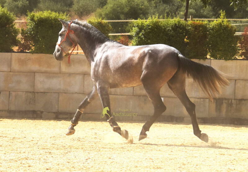 quimera-2026-juli-5_cambiar-tama-o-standard.jpg