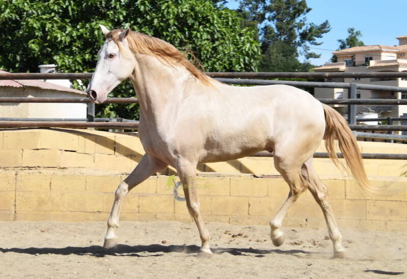 saturno-2026-mai-8_cambiar-tama-o-standard.jpg