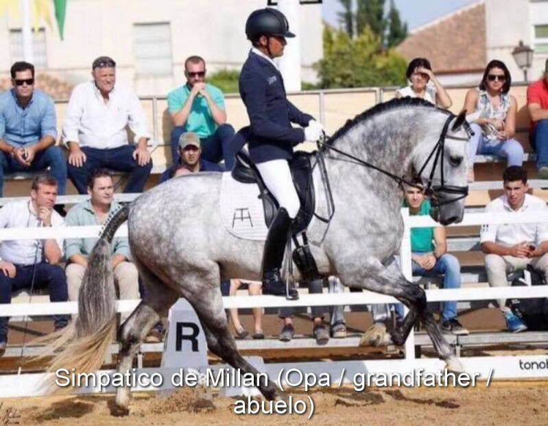 simpatico-de-millan-opa-1_cambiar-tama-o-standard-4aer29.jpg