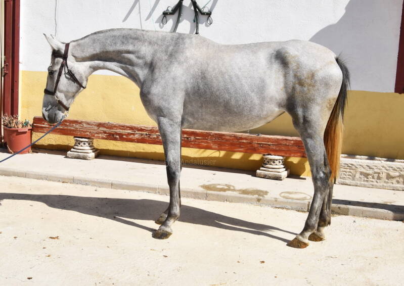 sultana-2025-september-13_cambiar-tama-o-standard.jpg