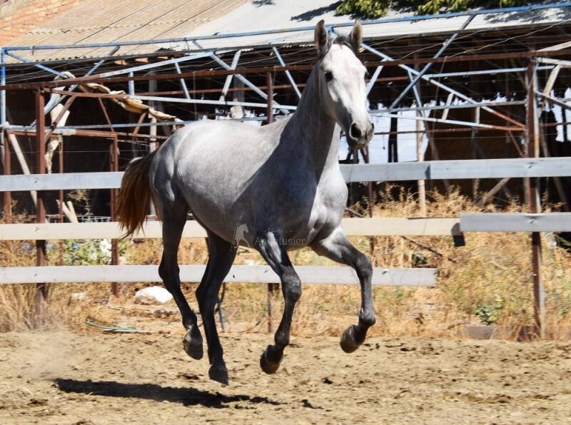sultana-2025-september-5_cambiar-tama-o-standard.jpg