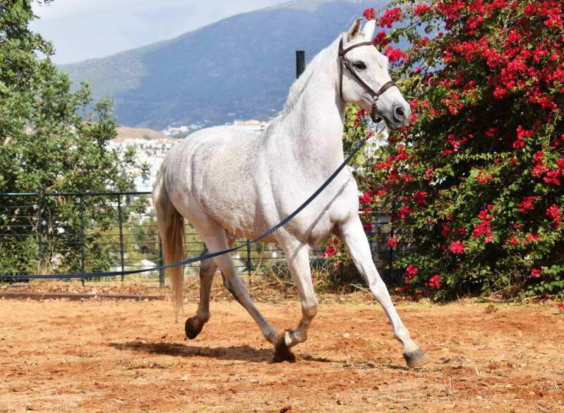 talego-2025-november-7_cambiar-tama-o-standard.jpg