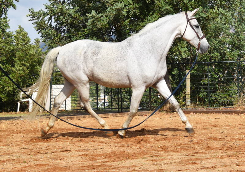 talego-2025-november-8_cambiar-tama-o-standard.jpg