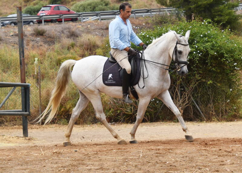 talego-2026-juni-19-standard.jpg