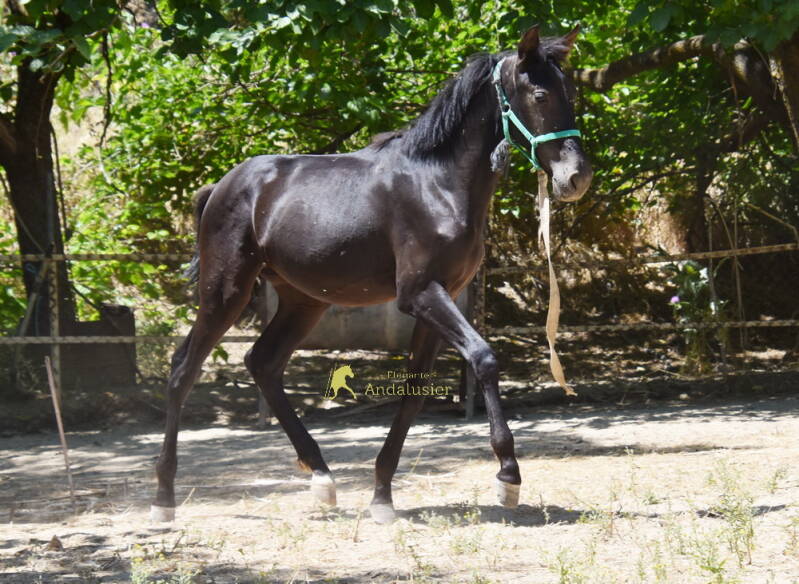 tiara-2026-juni-1_cambiar-tama-o-standard.jpg