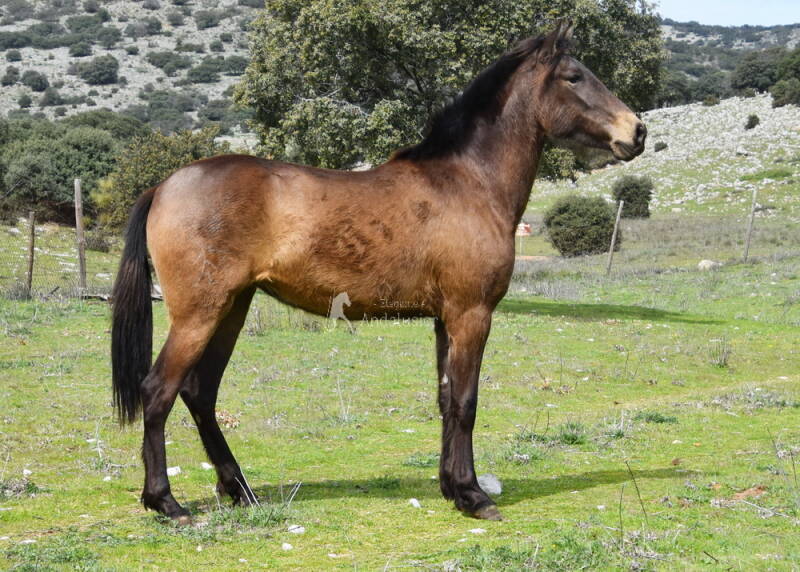 vanidosa-2026-m-rz-10_cambiar-tama-o-standard.jpg