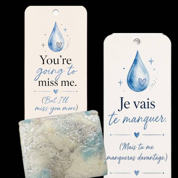 Teacher's Tears - Larmes d'enseignants