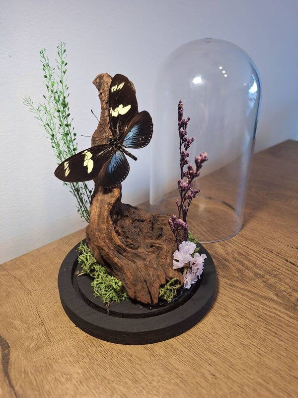 Workshop stolpje maken Hellevoetluis